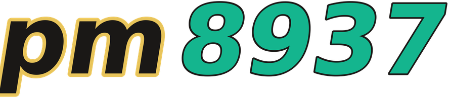 pm8937 logo